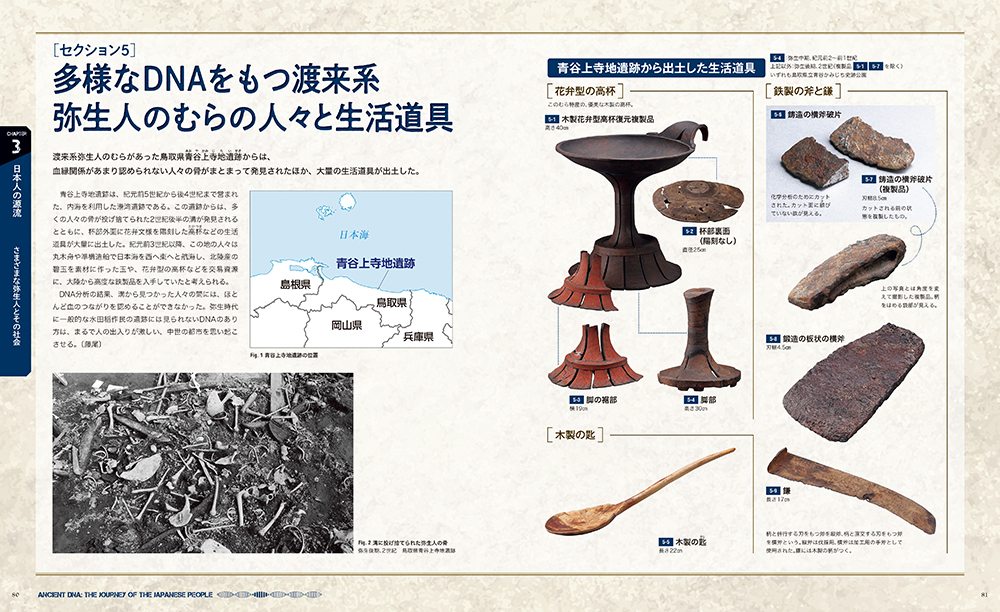 特別展「古代DNAー日本人のきた道ー」公式図録